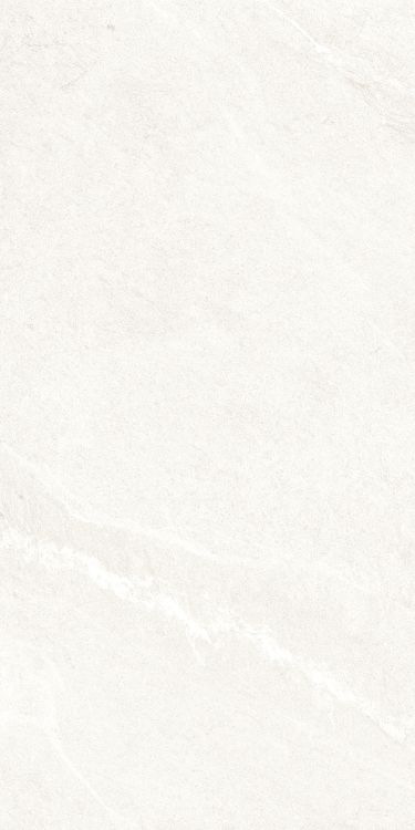 Dhara White Matte 24 x 48